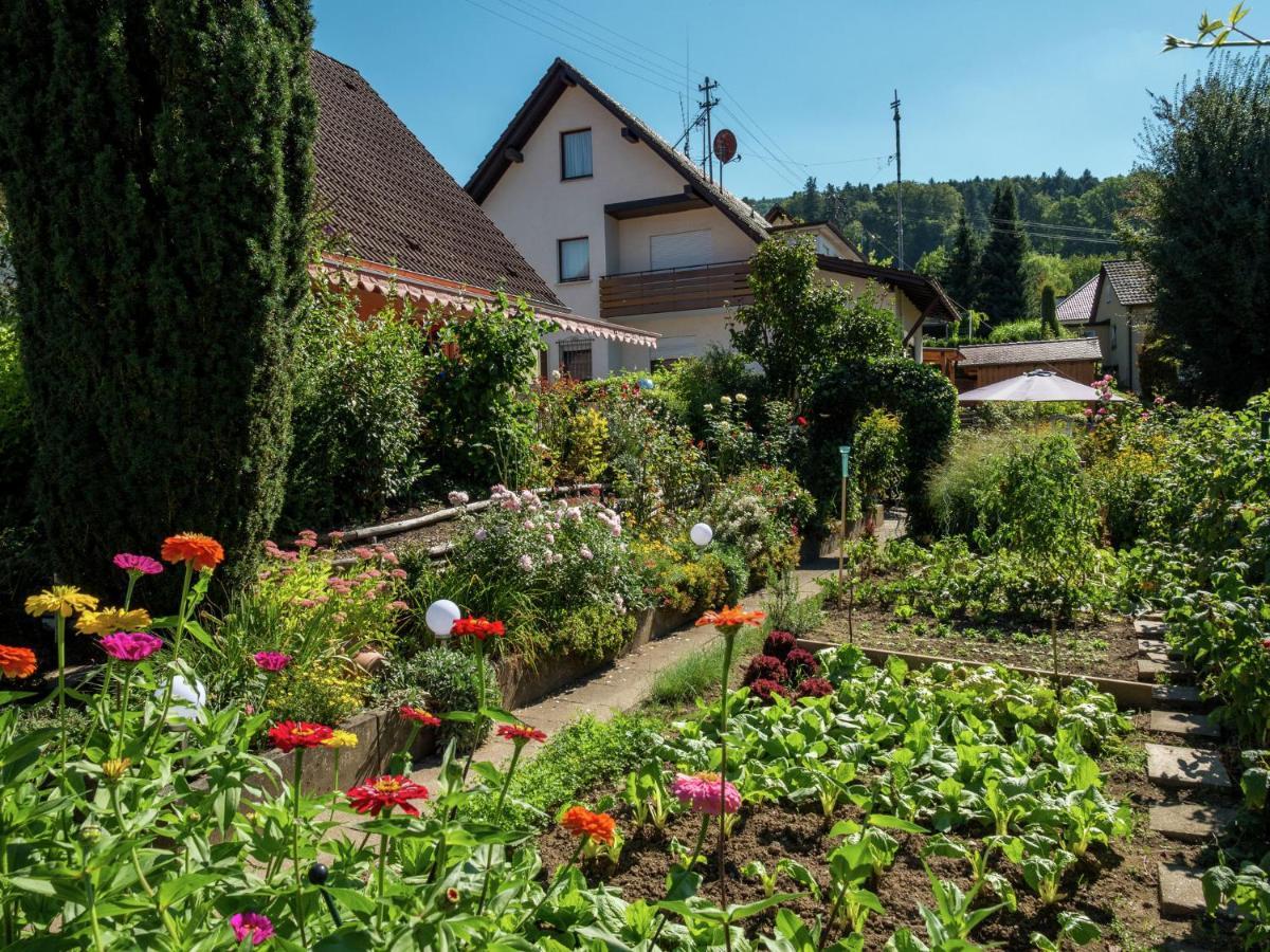 האסלאך אים קינזיגטאל Cheerful Apartment Near City Centre Of Haslach מראה חיצוני תמונה